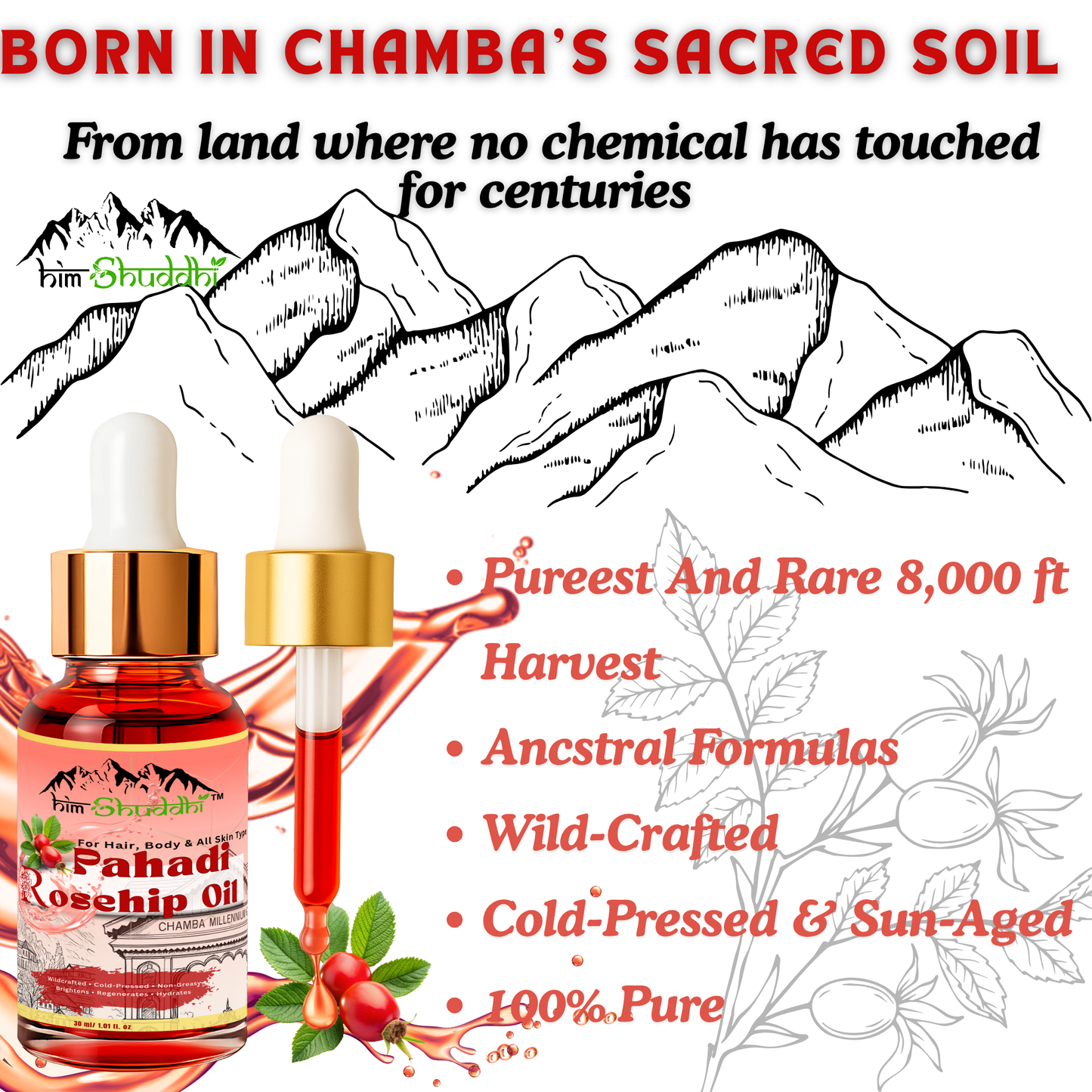 Chamba Rosehip Seed Oil - 30 ml (Pack of 2)
