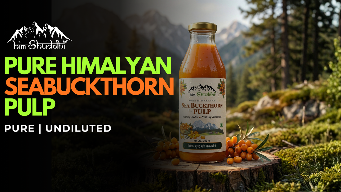 Sea Buckthorn Juice Side Effects – What You Must Know Before Buying