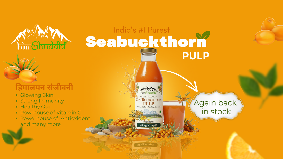 Best Sea Buckthorn Juice Brand in India – How to Choose the Right One