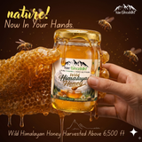 High Altitude Rare White Honey