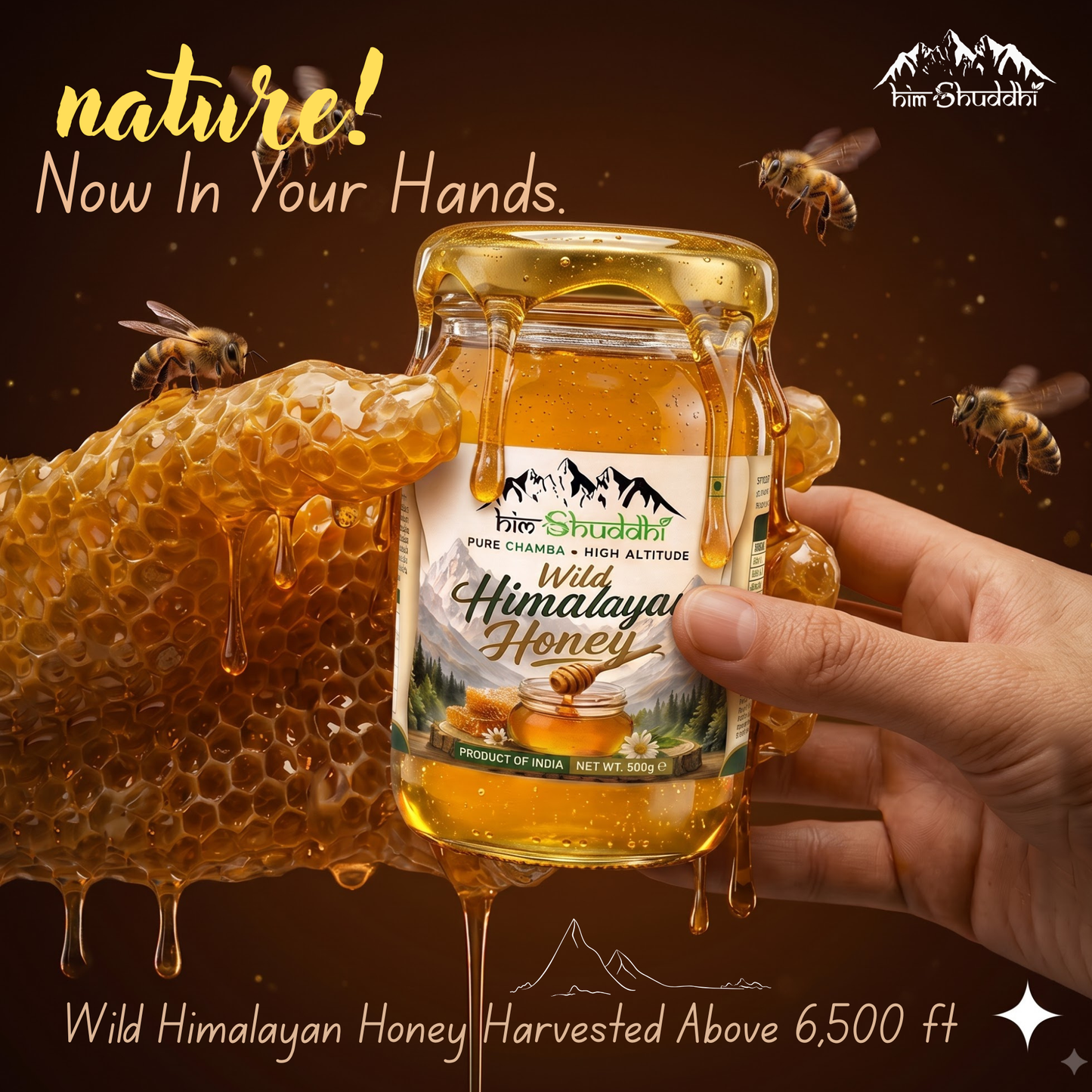 High Altitude Rare White Honey