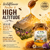 High Altitude Rare White Honey