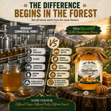 High Altitude Rare White Honey
