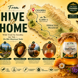 High Altitude Rare White Honey