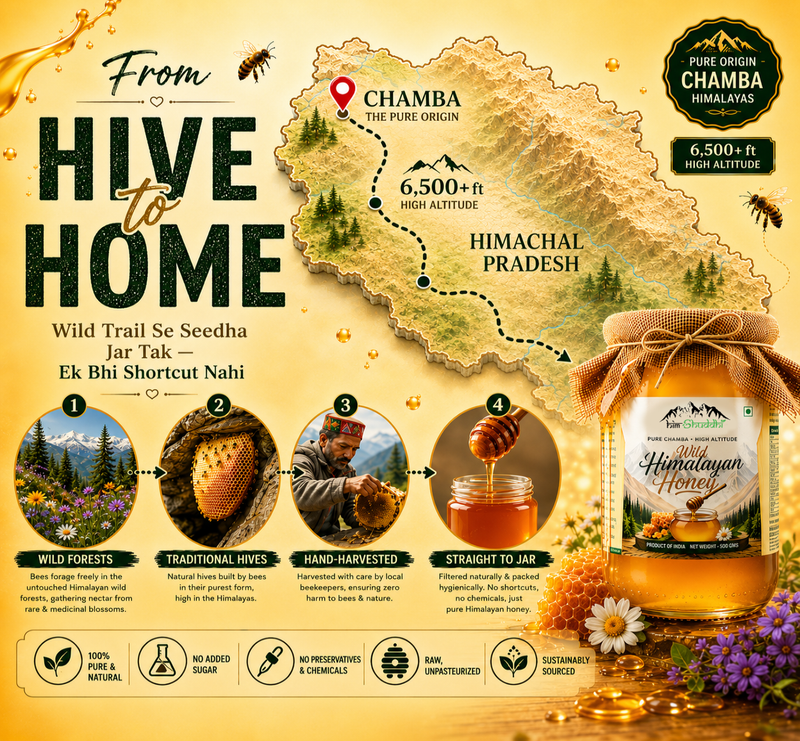 High Altitude Rare White Honey