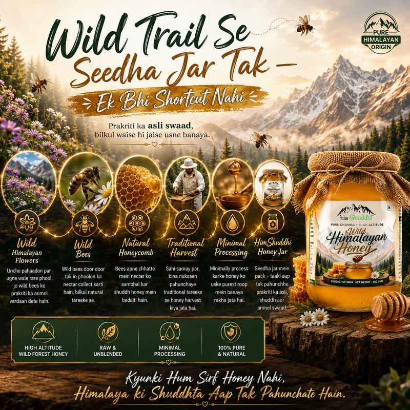High Altitude Rare White Honey